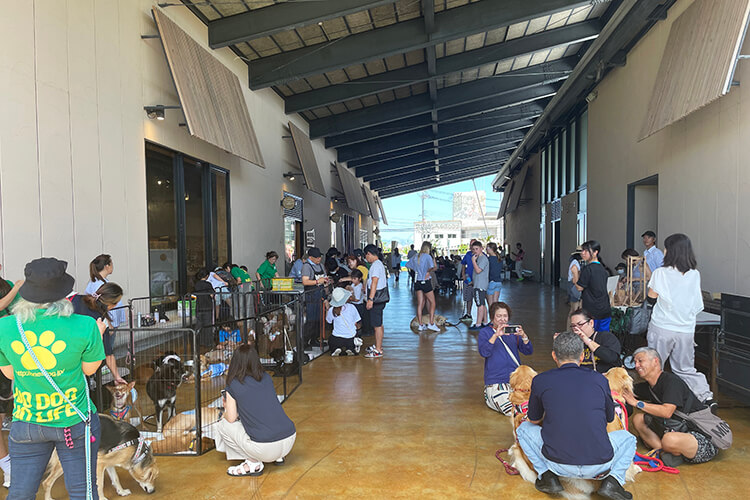 過去開催のマルシェ 250517フォト01