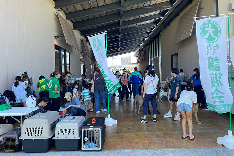 過去開催のマルシェ 250517フォト06